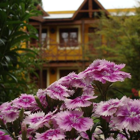 Kau Kaleshen Hotel El Calafate Exterior photo